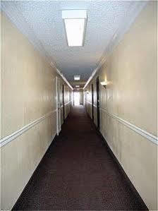 Hollywood Stars Motel Los Angeles